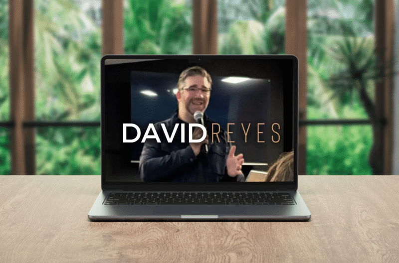 david